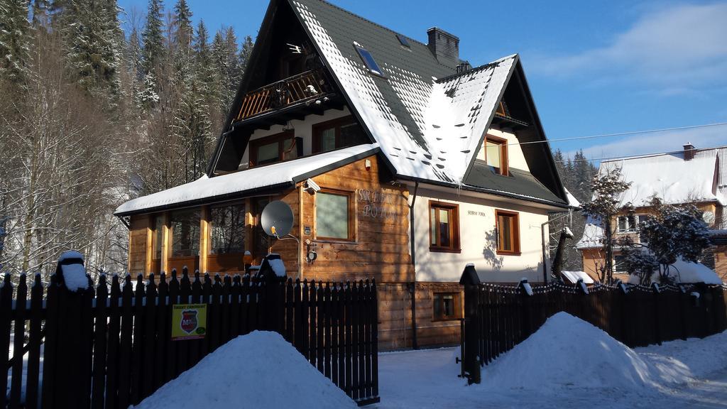 Homestay Srebrny Potok Zakopane Buitenkant foto