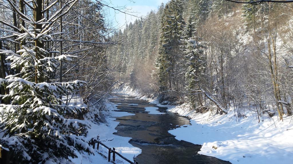 Homestay Srebrny Potok Zakopane Buitenkant foto