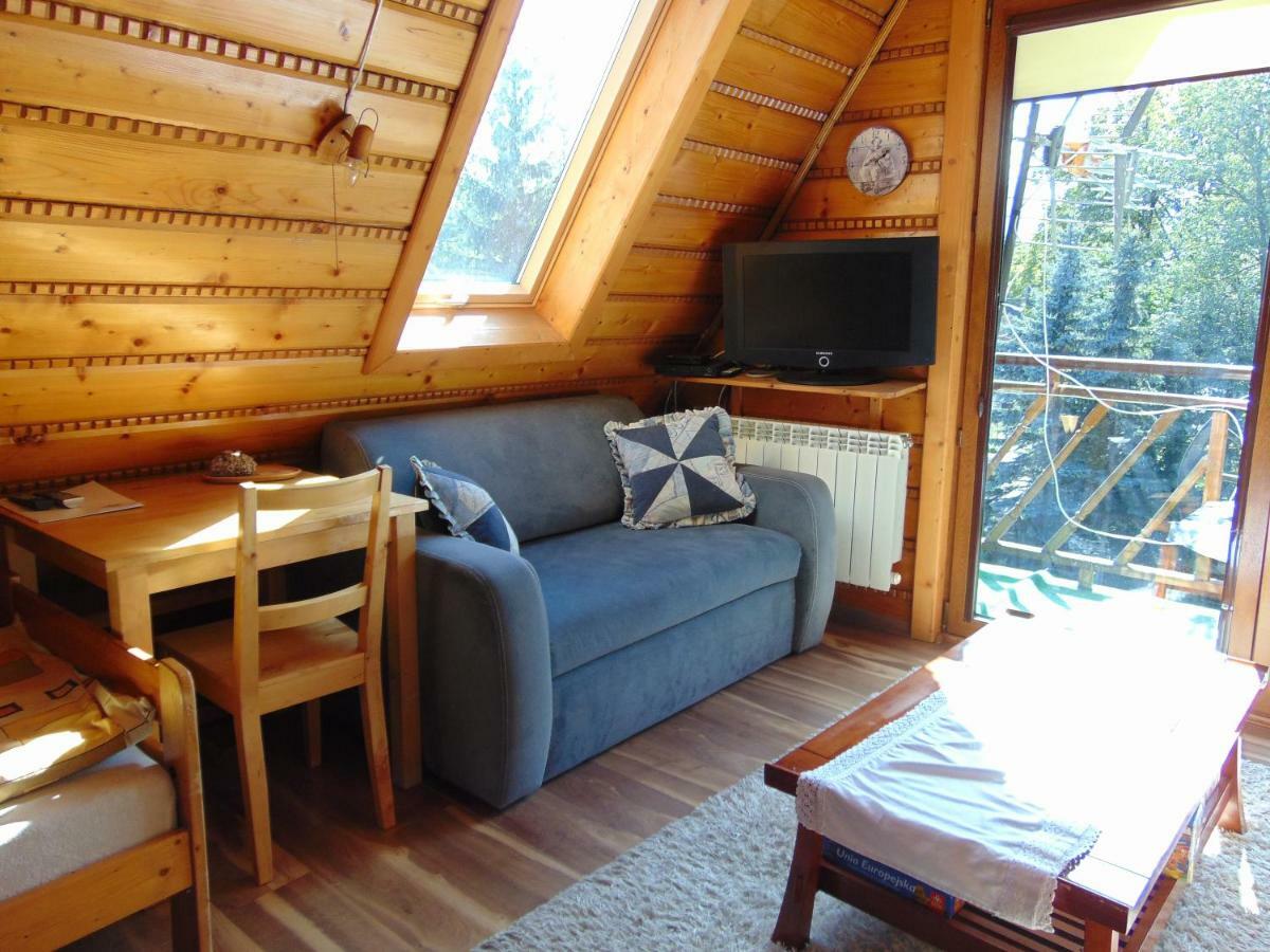 Homestay Srebrny Potok Zakopane Buitenkant foto